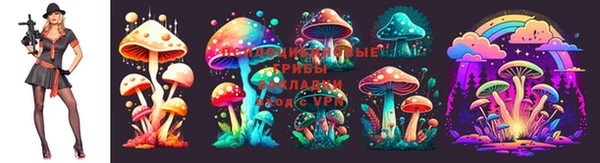спиды Армянск