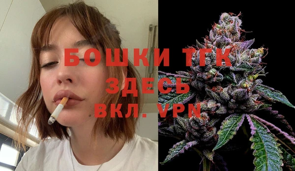 ГАЛЛЮЦИНОГЕННЫЕ ГРИБЫ Аркадак