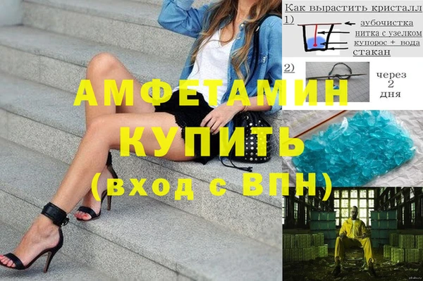 ГАЛЛЮЦИНОГЕННЫЕ ГРИБЫ Аркадак
